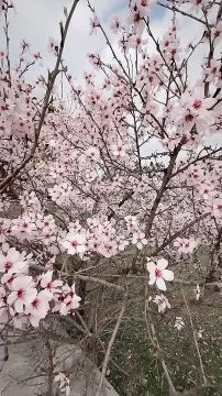 С добрым воскресным утром, жители Новоайдарского округа!