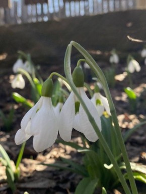 ��������� ������������ 16 ����� � ���������� �� 13 �������� �����, ���� ������� ��������� ����� � �����-������ �������� ���������� ��� ������ �� ���