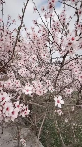 С добрым воскресным утром, жители Новоайдарского округа!