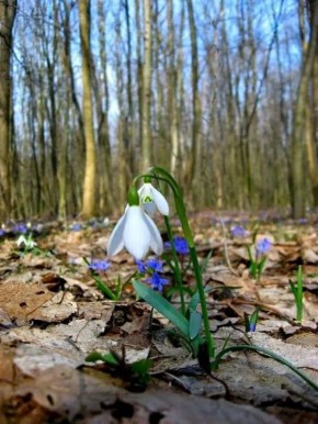 С добрым утром!. Сегодня 15 марта, воскресенье! Хорошего дня и отличного настроения! Немного о погоде: