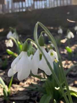 ��������� ������������ 16 ����� � ���������� �� 13 �������� �����, ���� ������� ��������� ����� � �����-������ �������� ���������� ��� ������ �� ���