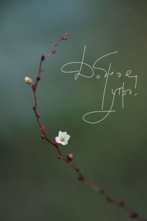 � ������ �����!. ������� 16 �����, �����������! ����� ����� ������� ���������� � ������ ����! ������� � ������:�