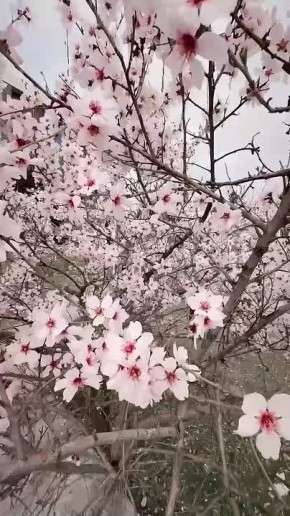 � ������ �����, ������ �������������� ������! � ������� ����� ������!