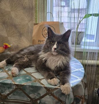 16 ����� �� ���������� ��������� �������� ���������� ����� ������� � ������������