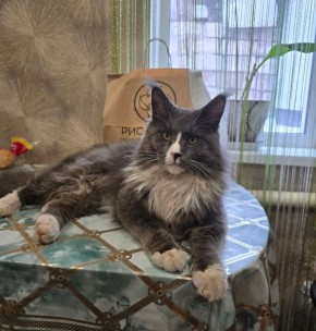 16 ����� �� ���������� ��������� �������� ���������� ����� ������� � ������������