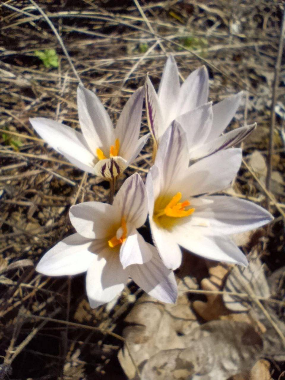 Понедельник - с яркими, солнечными кадрами от наших подписчиков Понедельник - с яркими, солнечными кадрами от наших подписчиков