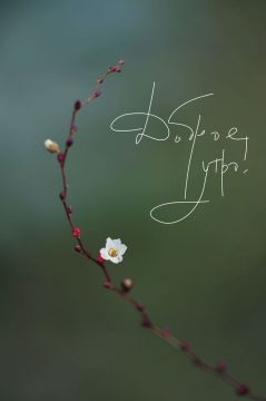 � ������ �����!. ������� 16 �����, �����������! ����� ����� ������� ���������� � ������ ����! ������� � ������:�