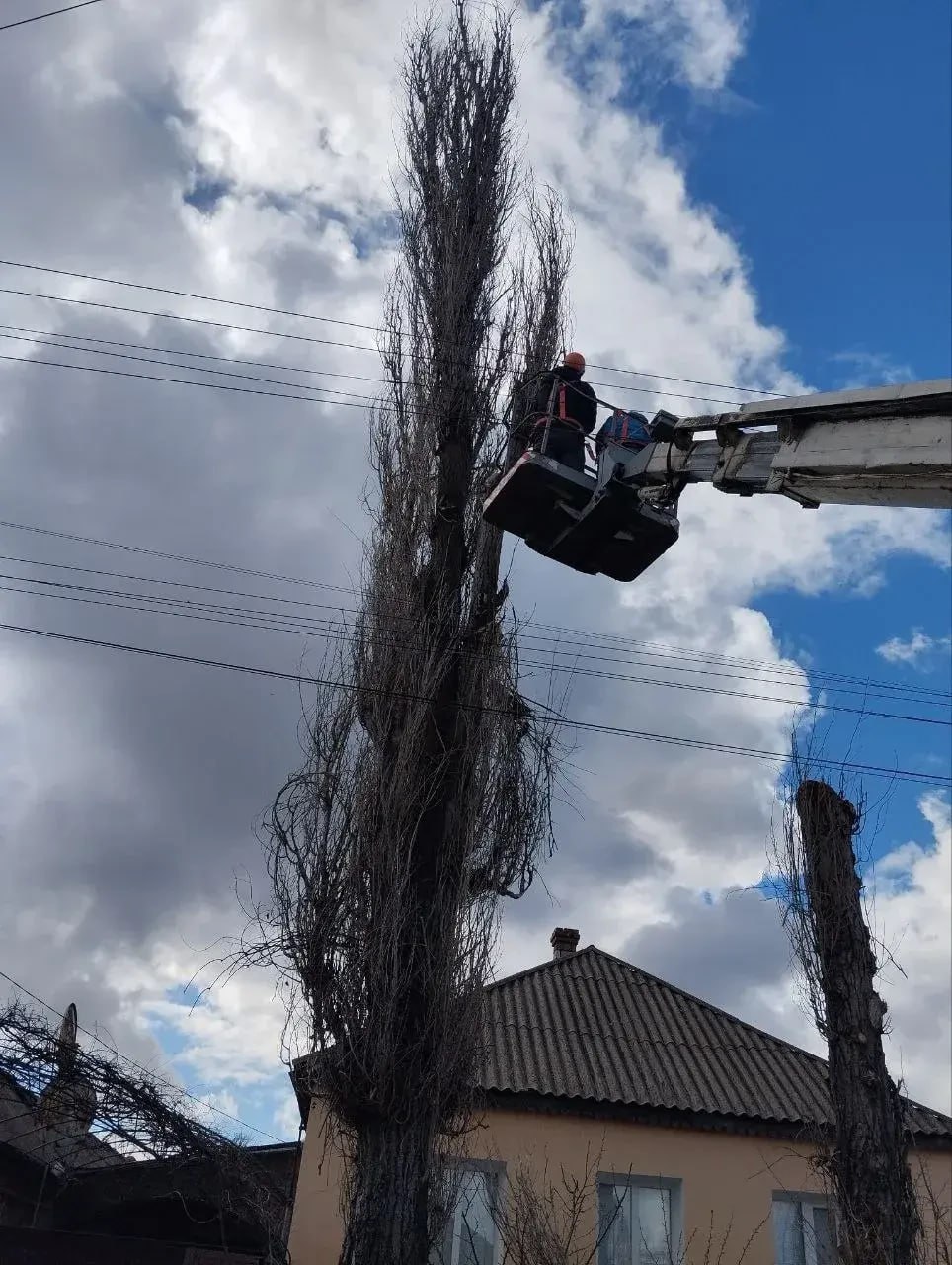 Рабочие из Удмуртии убрали аварийные деревья в поселке Белореченский Рабочие из Удмуртии убрали аварийные деревья в поселке Белореченский