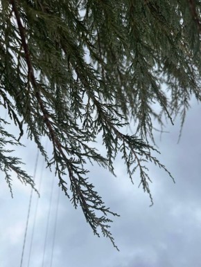 С добрым утром, жители Марковского муниципального округа !