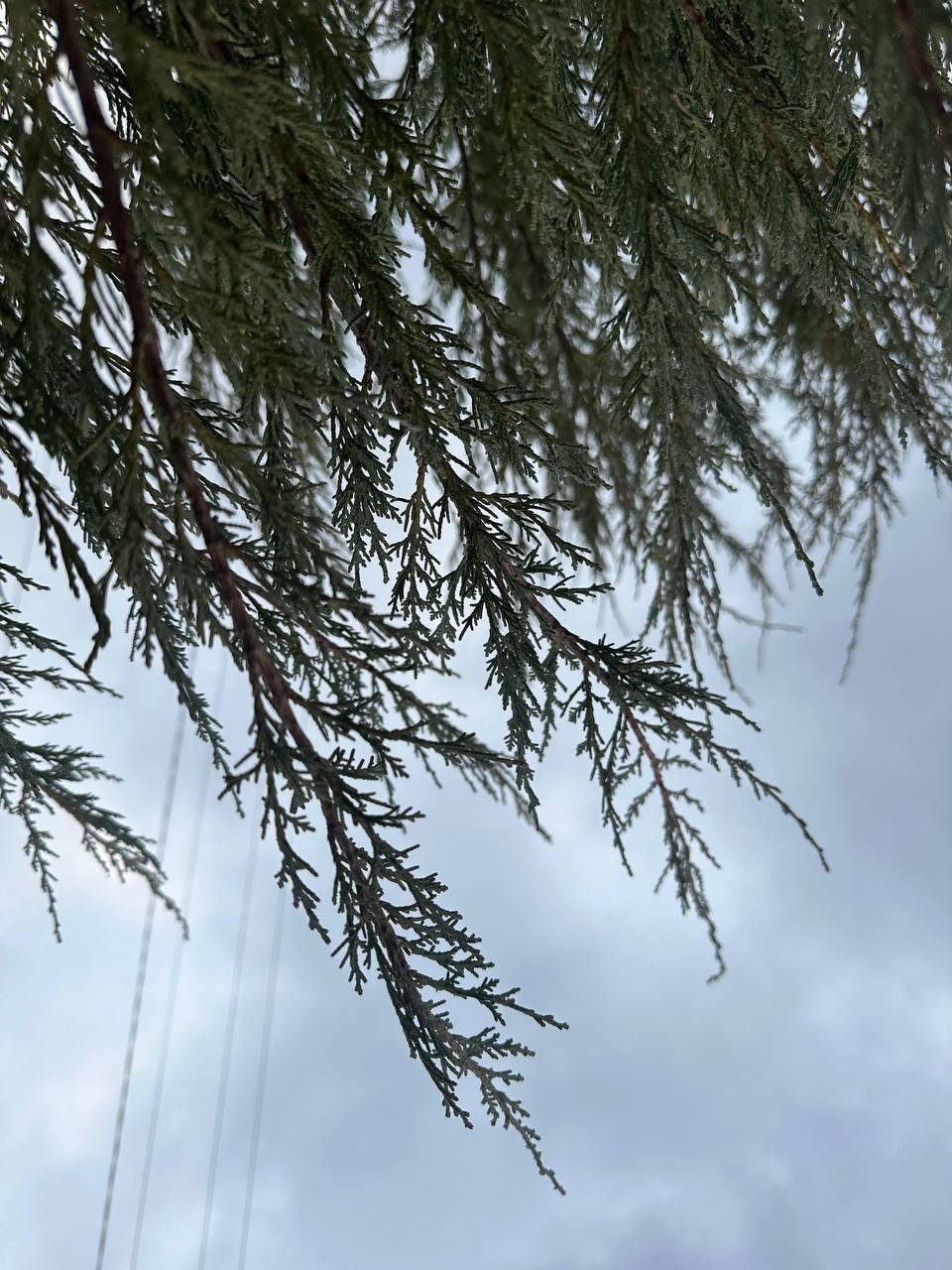 С добрым утром, жители Марковского муниципального округа !