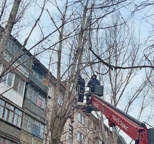 Коммунальными службами проведены работы на территории города Коммунальными службами проведены работы на территории города