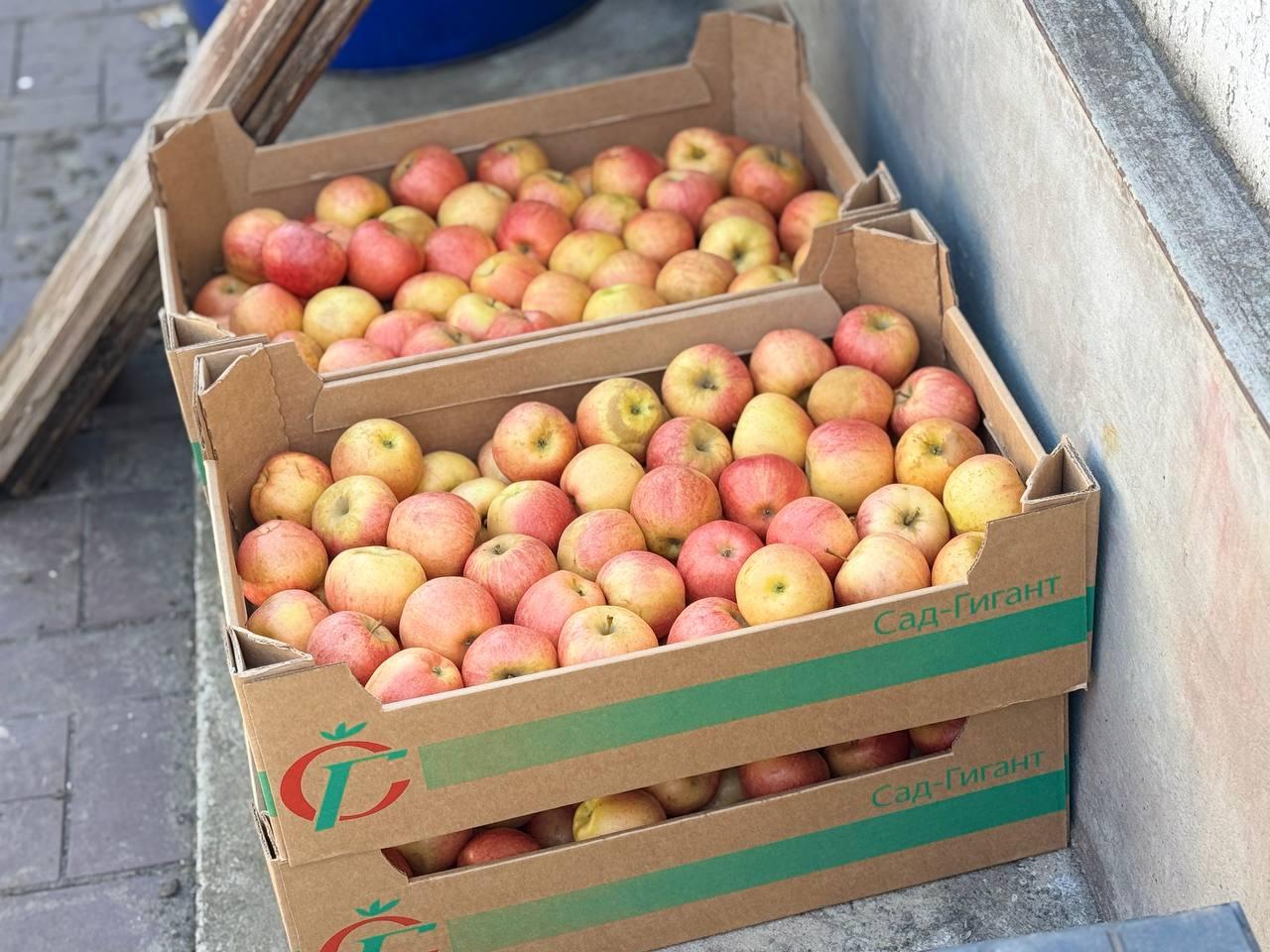 Народный фронт привез помощь в село Долгое Народный фронт привез помощь в село Долгое