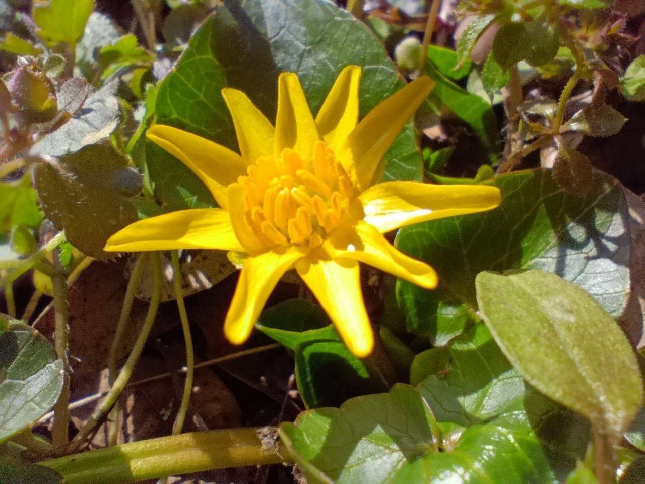 Понедельник - с яркими, солнечными кадрами от наших подписчиков Понедельник - с яркими, солнечными кадрами от наших подписчиков