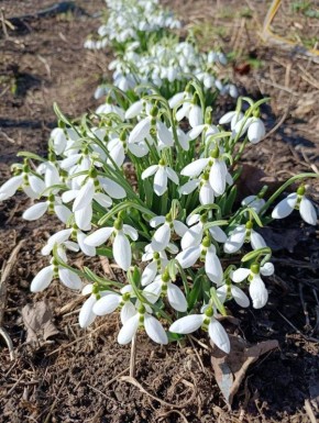 ����������� - � ������, ���������� ������� �� ����� �����������