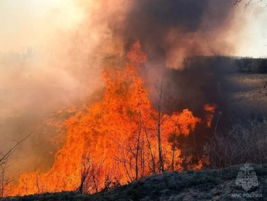 ����������� ������ ��������� � ���