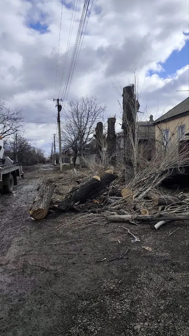 Рабочие из Удмуртии убрали аварийные деревья в поселке Белореченский Рабочие из Удмуртии убрали аварийные деревья в поселке Белореченский