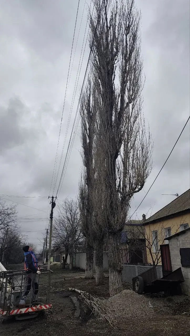 Рабочие из Удмуртии убрали аварийные деревья в поселке Белореченский Рабочие из Удмуртии убрали аварийные деревья в поселке Белореченский