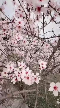 � ������ �����, ������ �������������� ������! � ������� ����� ������!