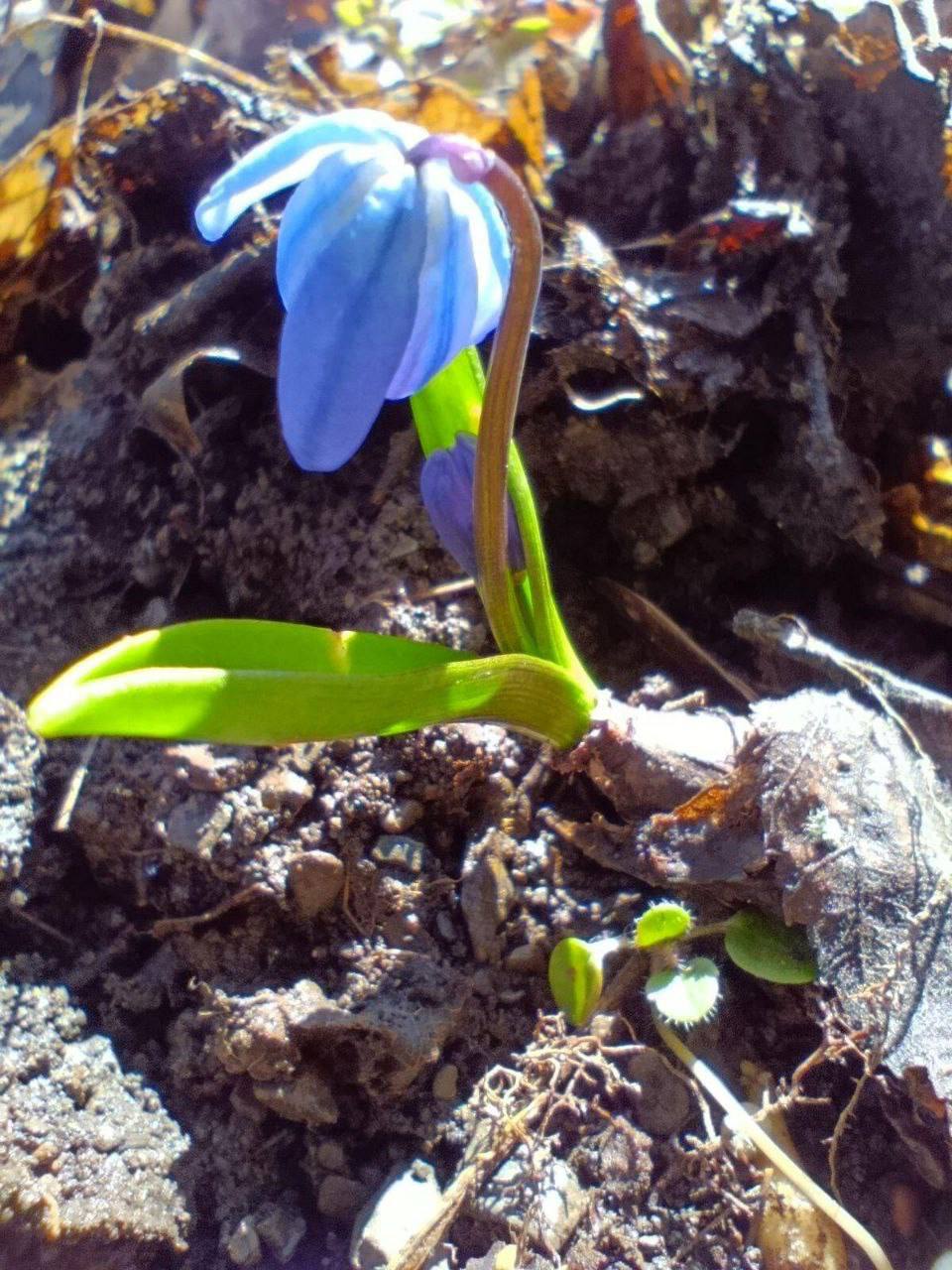 Понедельник - с яркими, солнечными кадрами от наших подписчиков Понедельник - с яркими, солнечными кадрами от наших подписчиков