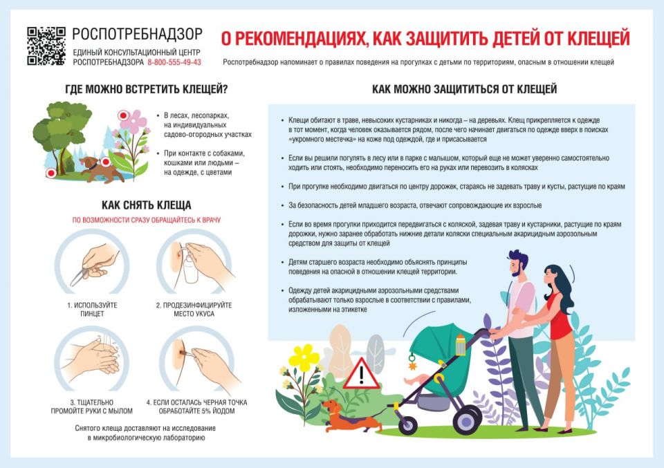 С какими опасными ситуациями для здоровья можно столкнуться при укусах клещей? Как помочь себе и пострадавшему? С какими опасными ситуациями для здоровья можно столкнуться при укусах клещей? Как помочь себе и пострадавшему?