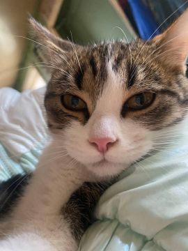 17 марта на территории Луганской Народной Республики будет облачно с прояснениями