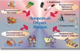 Твоё тело — твой главный лайфхак