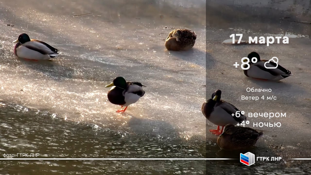 Доброе утро, Луганская Народная Республика!