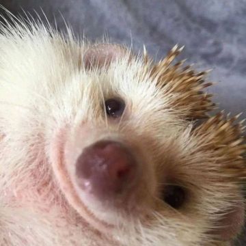 День «Будьте счастливы» отмечается сегодня