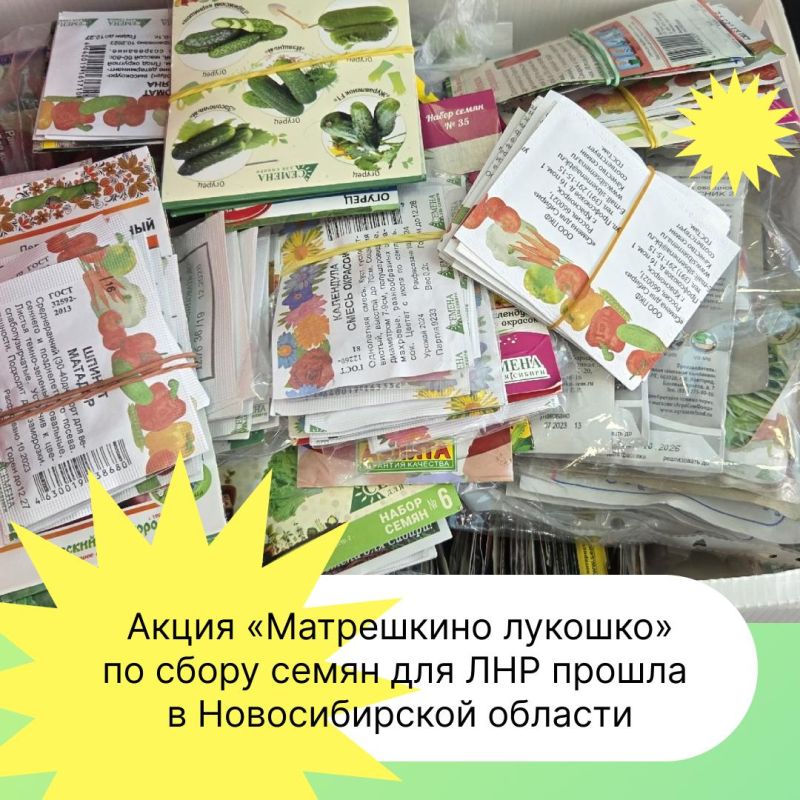 Акция «Матрешкино лукошко» по сбору семян для ЛНР прошла в Новосибирской области Акция «Матрешкино лукошко» по сбору семян для ЛНР прошла в Новосибирской области