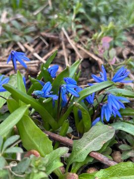 � ������ �����, ������ ����������� �������������� ������ !