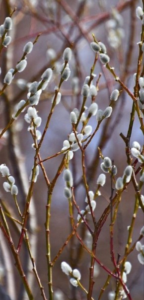 � ������ �����!. ������� 17 �����, �������! ����� � ����� ������ ����� ����� ��� ������� � ����� ��� �����