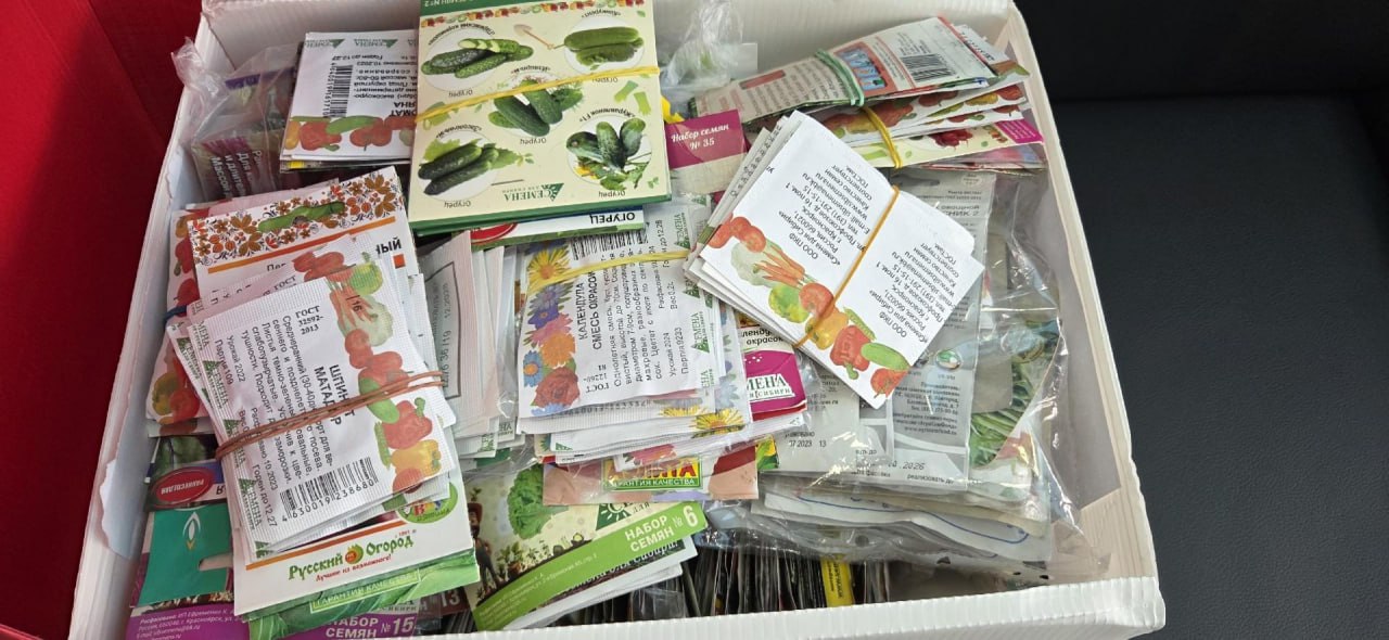 Акция «Матрешкино лукошко» по сбору семян для ЛНР прошла в Новосибирской области Акция «Матрешкино лукошко» по сбору семян для ЛНР прошла в Новосибирской области