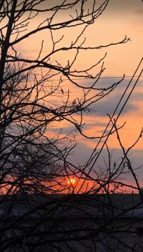 ��������� ������������ 18 ����� � ��� �� ���� �������� ����� �� 11 �������� ����� ����, ������� ������� ��������� � ��������� �����, � �������� ������� � ������ ������