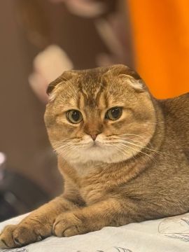 18 ����� �� ���������� ��������� �������� ���������� ����� �������