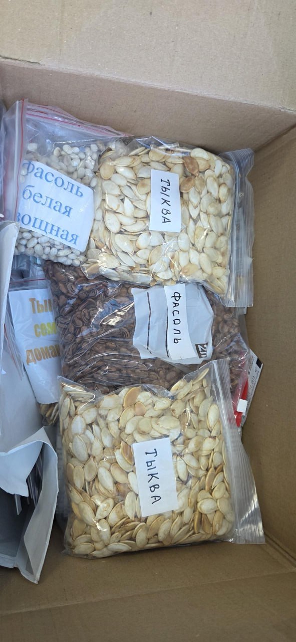 Акция «Матрешкино лукошко» по сбору семян для ЛНР прошла в Новосибирской области Акция «Матрешкино лукошко» по сбору семян для ЛНР прошла в Новосибирской области