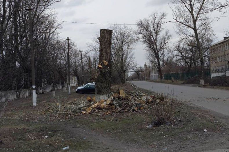 В пгт Бирюково осуществлена обрезка аварийных деревьев В пгт Бирюково осуществлена обрезка аварийных деревьев
