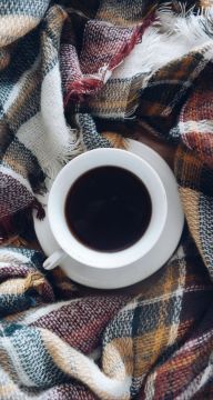 ������ ����. ������ �������� ���������� �� ���� ����