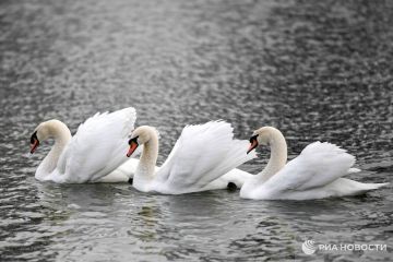 ������ �� ����� ����������� ������