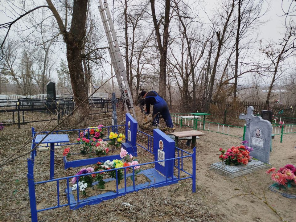 Сегодня в Нижнеольховском ОЖО местные жители провели обрезку сухих деревьев на кладбище села Нижняя Ольховая Сегодня в Нижнеольховском ОЖО местные жители провели обрезку сухих деревьев на кладбище села Нижняя Ольховая