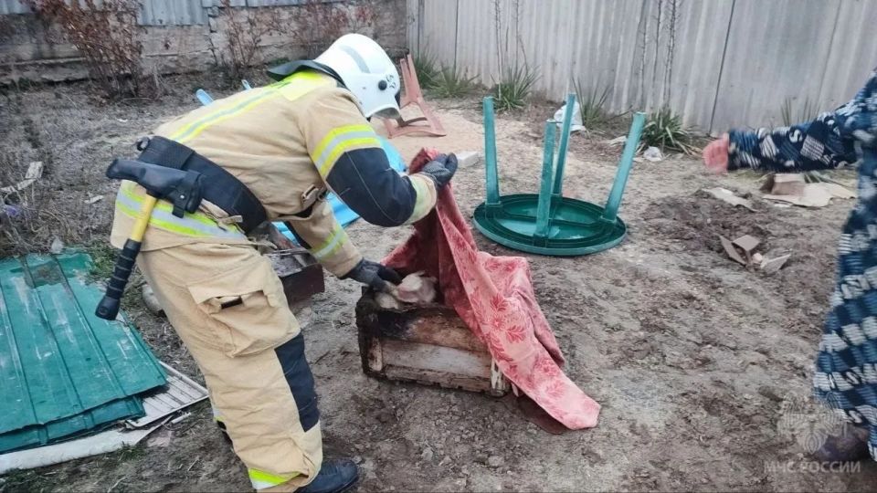 В Новоайдаре спасатели потушили пожар и спасли 25 птиц В Новоайдаре спасатели потушили пожар и спасли 25 птиц