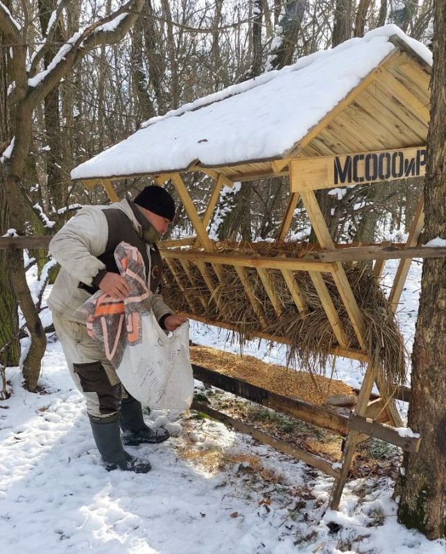 Более 45 тонн кормов: итоги зимней подкормки диких животных, проводимой подведомственными Минприроды ЛНР лесоохотничьими учреждениями Более 45 тонн кормов: итоги зимней подкормки диких животных, проводимой подведомственными Минприроды ЛНР лесоохотничьими учреждениями