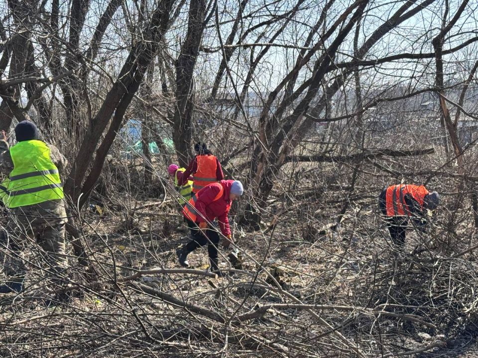 Благоустройство в пгт Михайловка Благоустройство в пгт Михайловка
