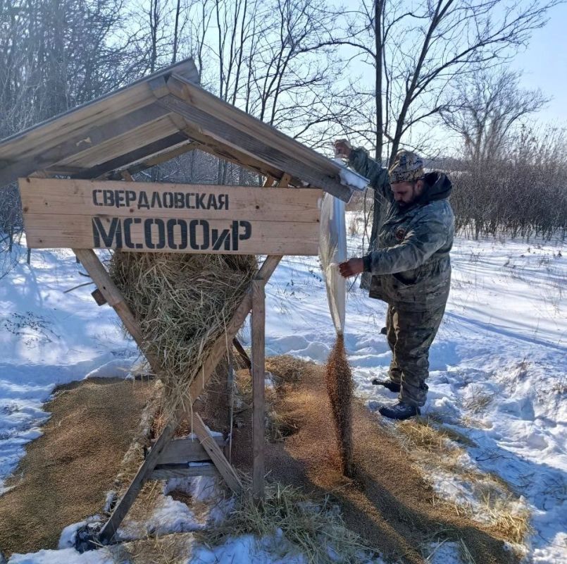 Более 45 тонн кормов: итоги зимней подкормки диких животных, проводимой подведомственными Минприроды ЛНР лесоохотничьими учреждениями Более 45 тонн кормов: итоги зимней подкормки диких животных, проводимой подведомственными Минприроды ЛНР лесоохотничьими учреждениями