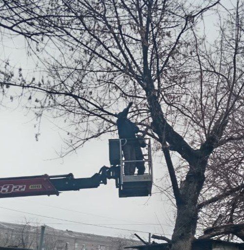 Коммунальными службами проведены работы на территории города Коммунальными службами проведены работы на территории города