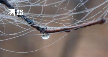 ����� ����� ������ � ��� 19 �����