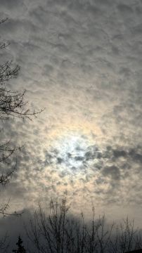 Сегодня - день весеннего равноденствия, или астрономическая весна