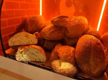 ����� ��������� ������� ����