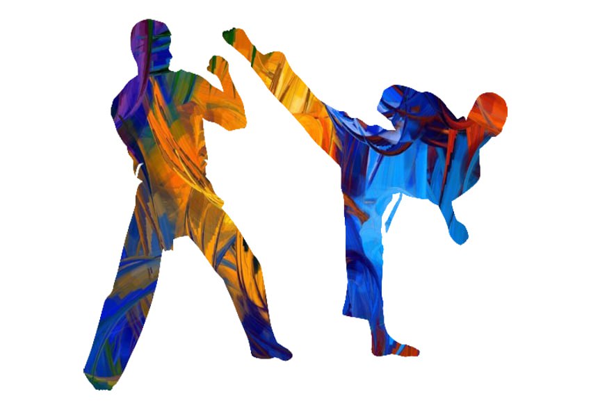 День рукопашного боя — праздник силы, мастерства и духа!