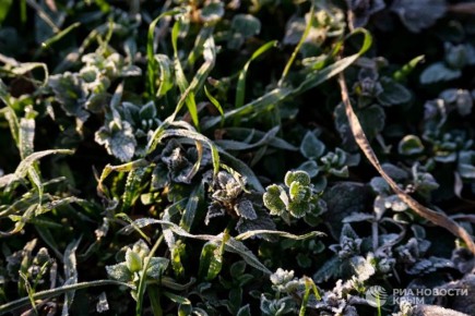 Погода на новых территориях России