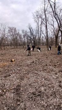 ������ �� ��������� ����������� ������� � ��������������� ���� ������ �����